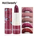 Paper Tube Lipstick 1